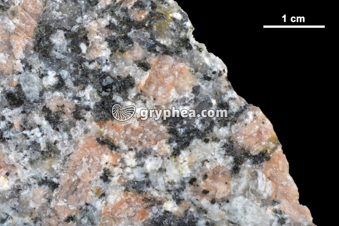 Granite rose et minéraux constitutifs - gryphea.org